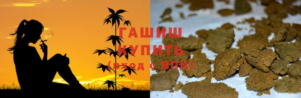 стаф Белокуриха