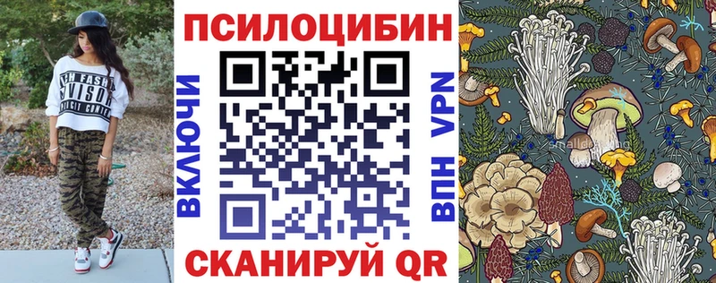Галлюциногенные грибы Magic Shrooms  Кизляр 