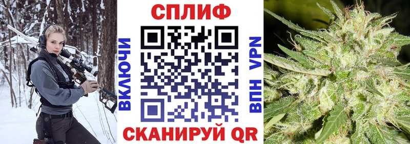 Каннабис ГИДРОПОН  закладка  Кизляр 